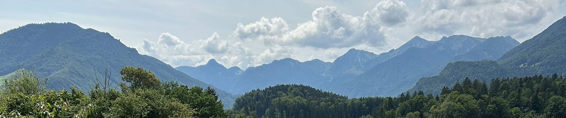 Leitungsteam